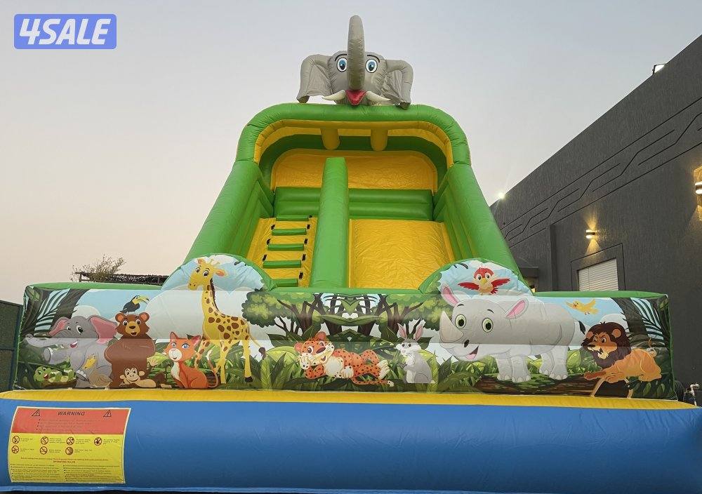 نطاطيات للإيجار كبد فقط4