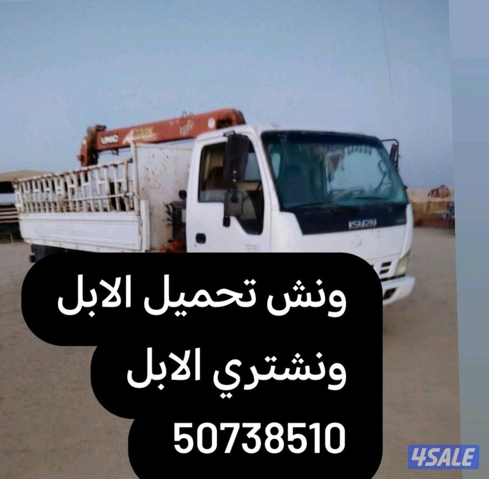 ونش تحميل الابل جميع مناطق الكويت0