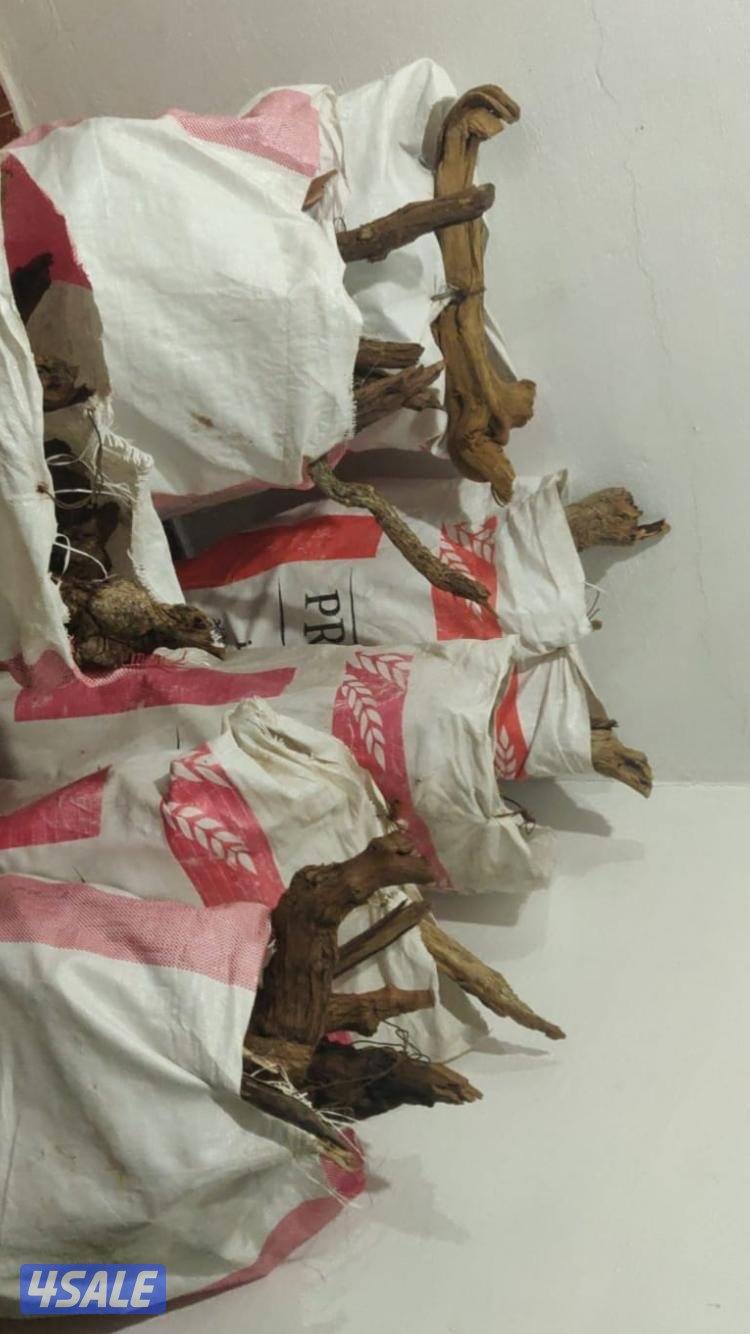 للبيع حطب سعودي2