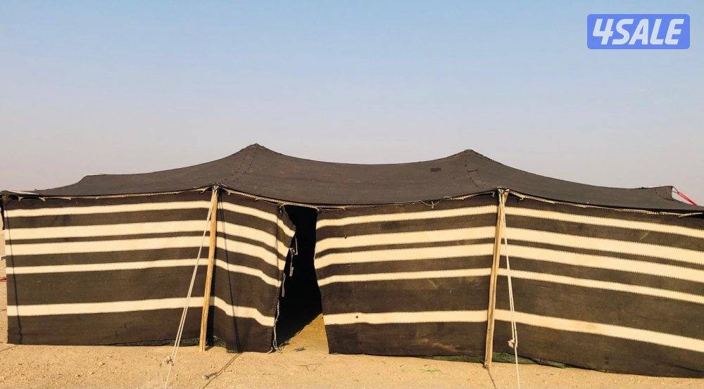 للبيع بيت شعر وخيمه2