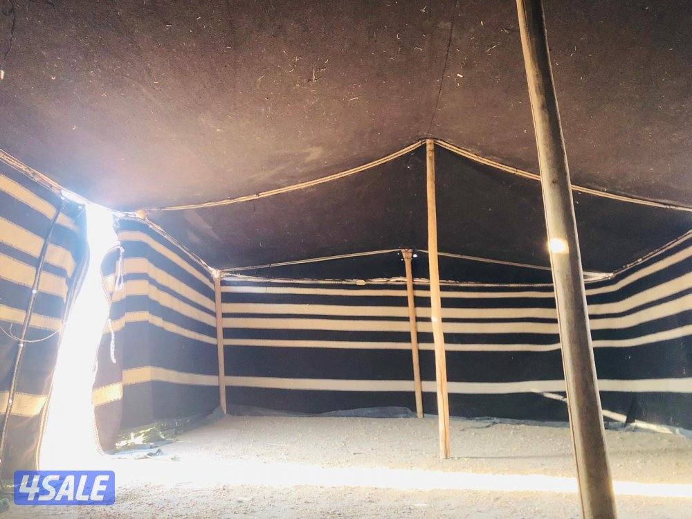 للبيع بيت شعر وخيمه10