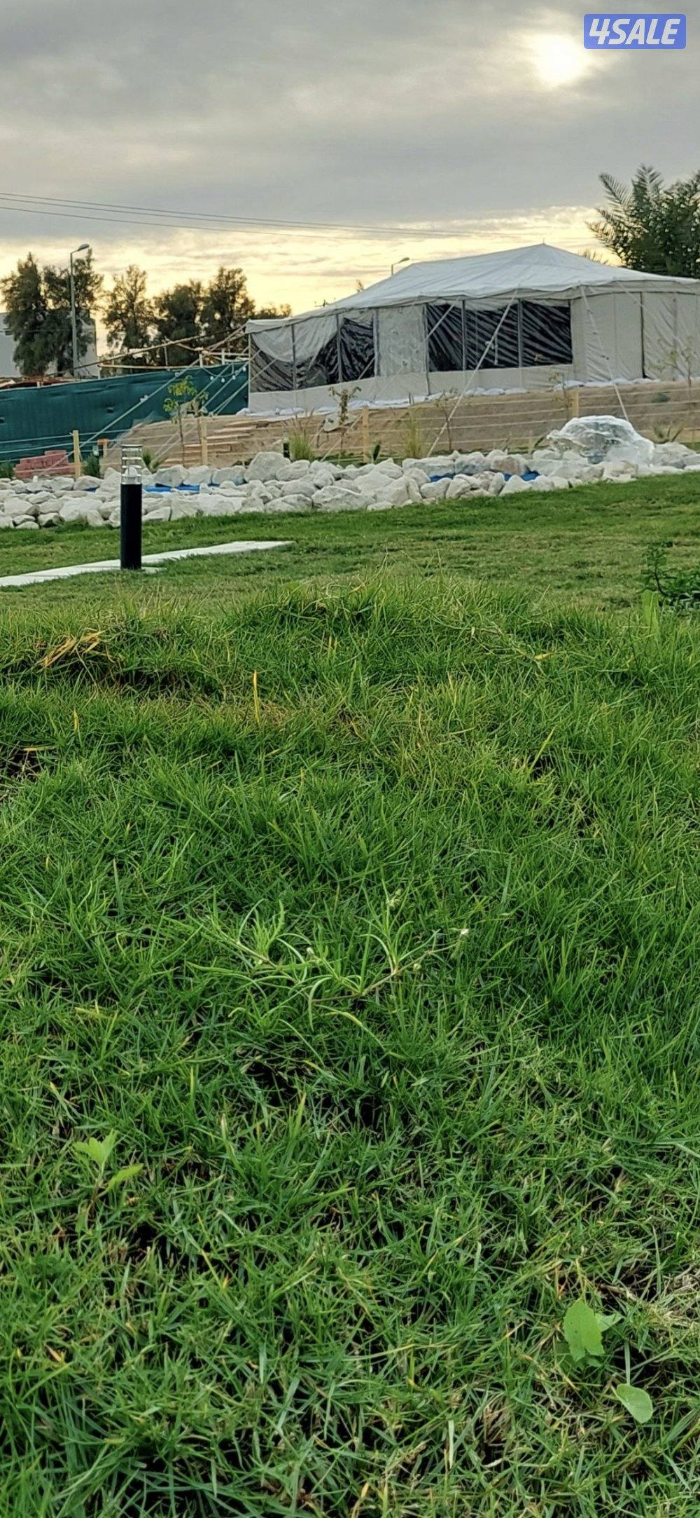 مزرعة A FARM  الوفره   طريق 30011