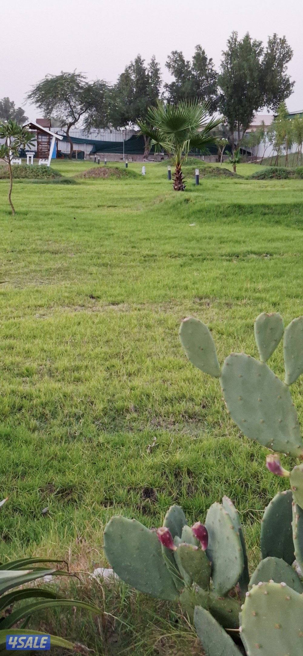 مزرعة A FARM  الوفره   طريق 30012