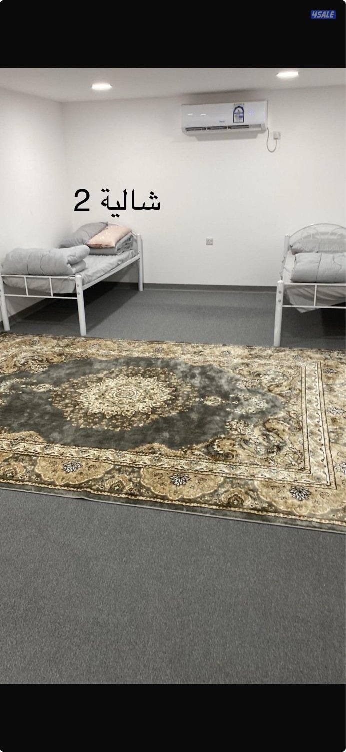 مزارع الوفره4