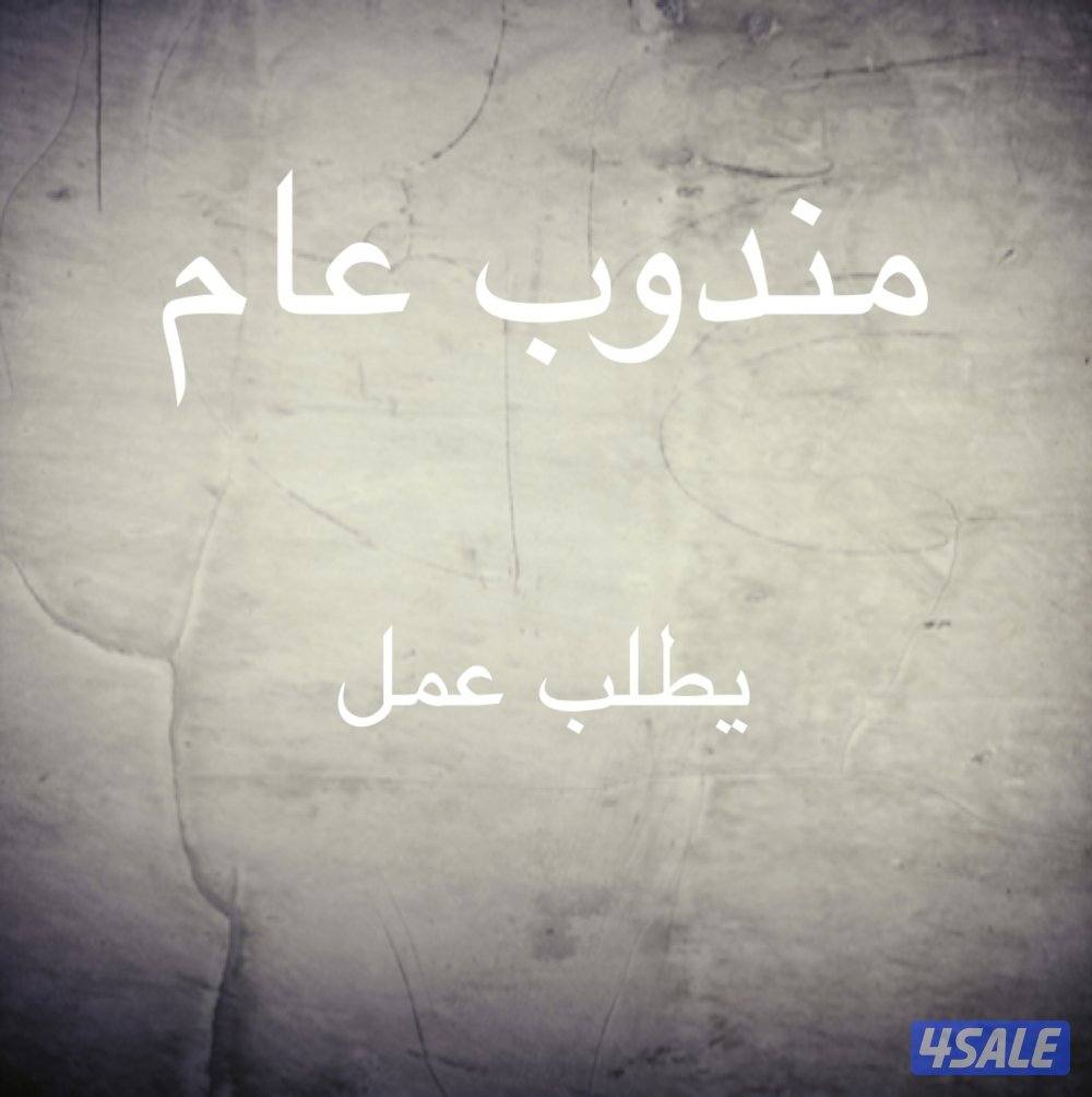 مندوب عام  يلحث عن عمل0