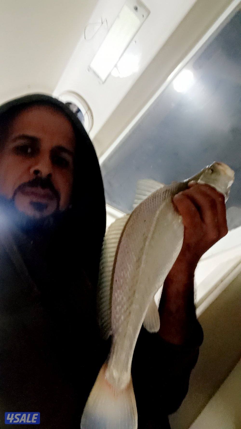 حياكم اللة للإيجار طراريد مجهزة حداق عدة صيد مجهزة مسجل تكرم حمام الطر15