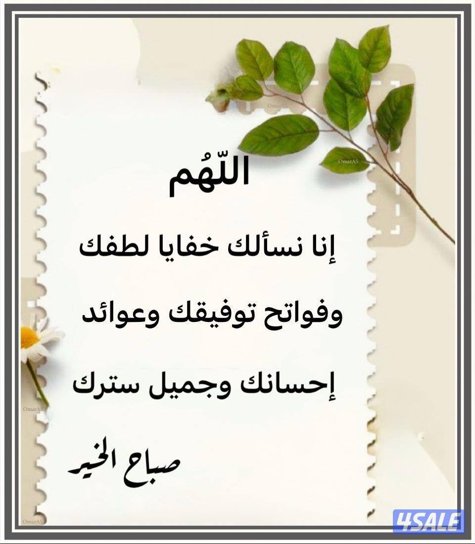 شاب بدون يطلب عمل أمن او موظف او اي عمل لمساعدة اسرتي لظروف قاسيه التى0