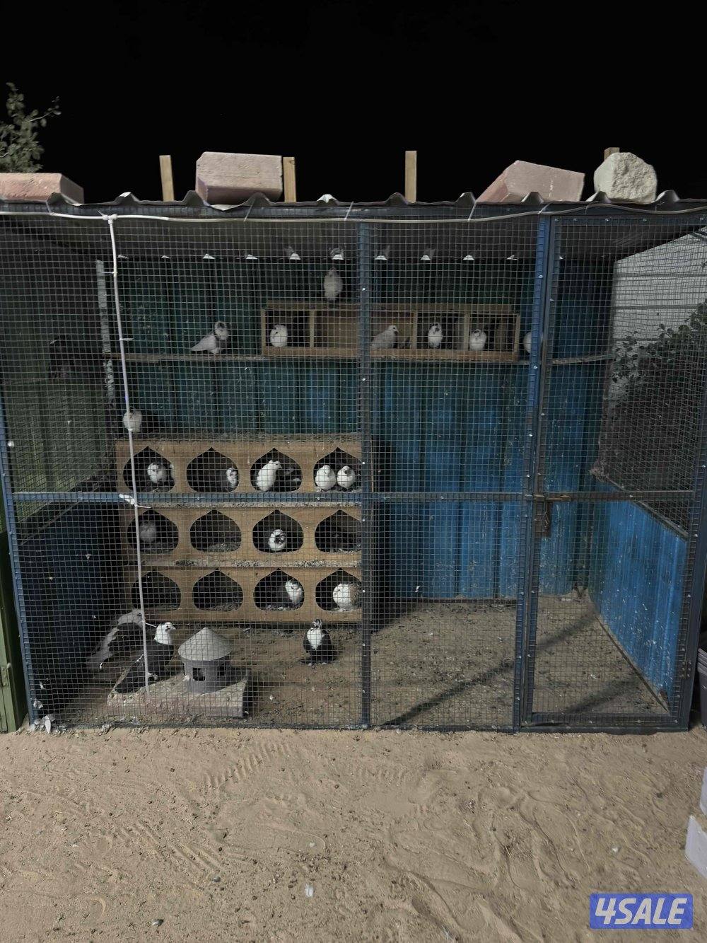 للبيع حمام زينه فاخر جملة مع المحكر5