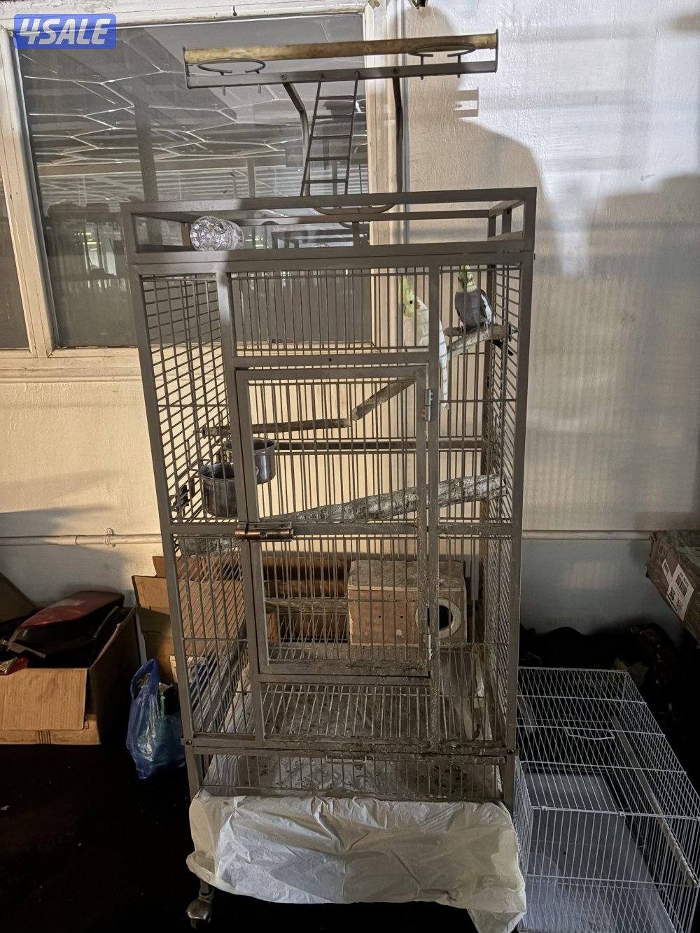 للبيع قفص كاسكو كبير سعر طيب ان شاءالله0