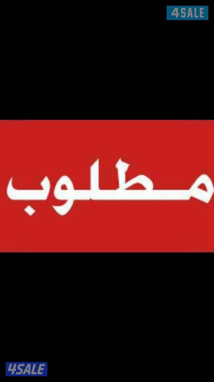 مطلوب جميع انواع السيارات0