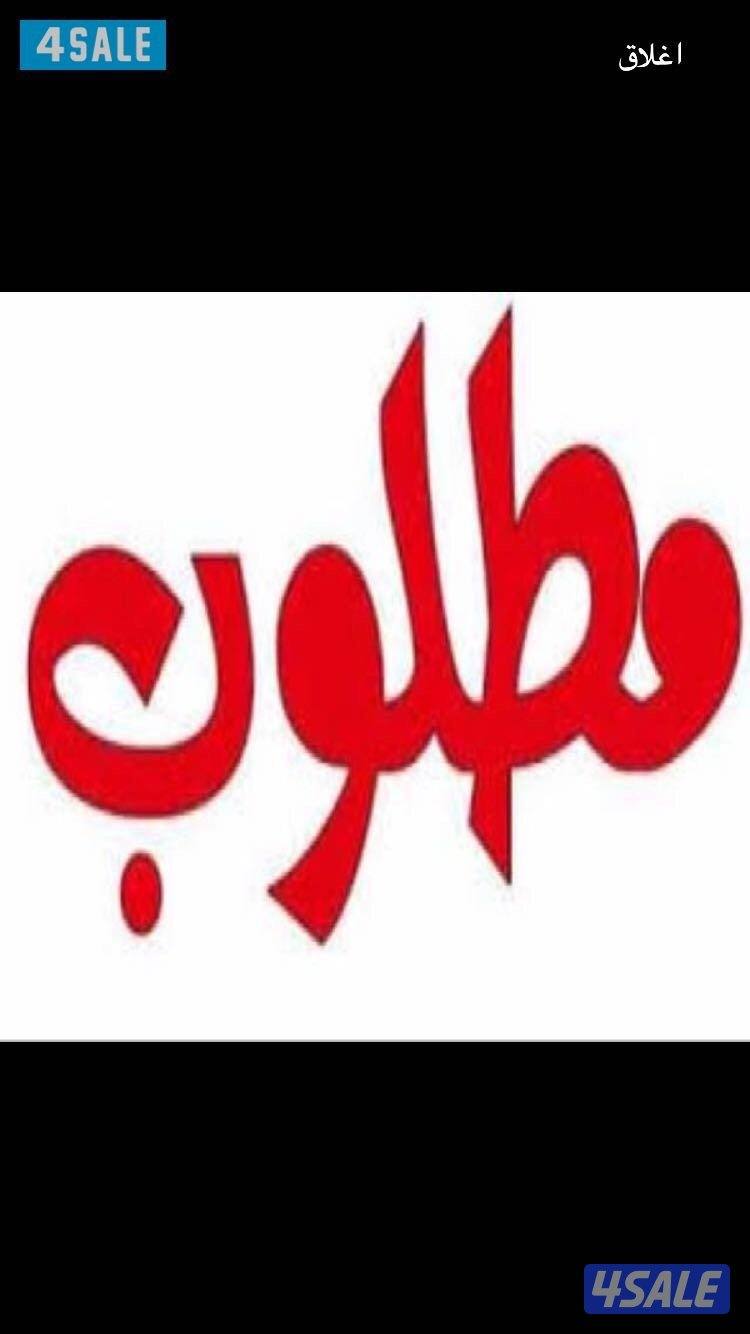 مطلوب جميع انواع السيارات0