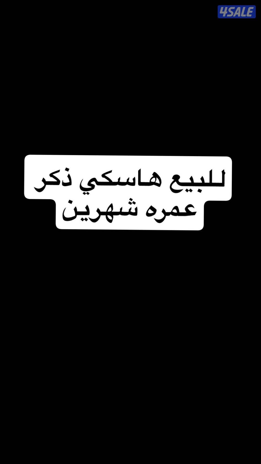 للبيع هاسكي0