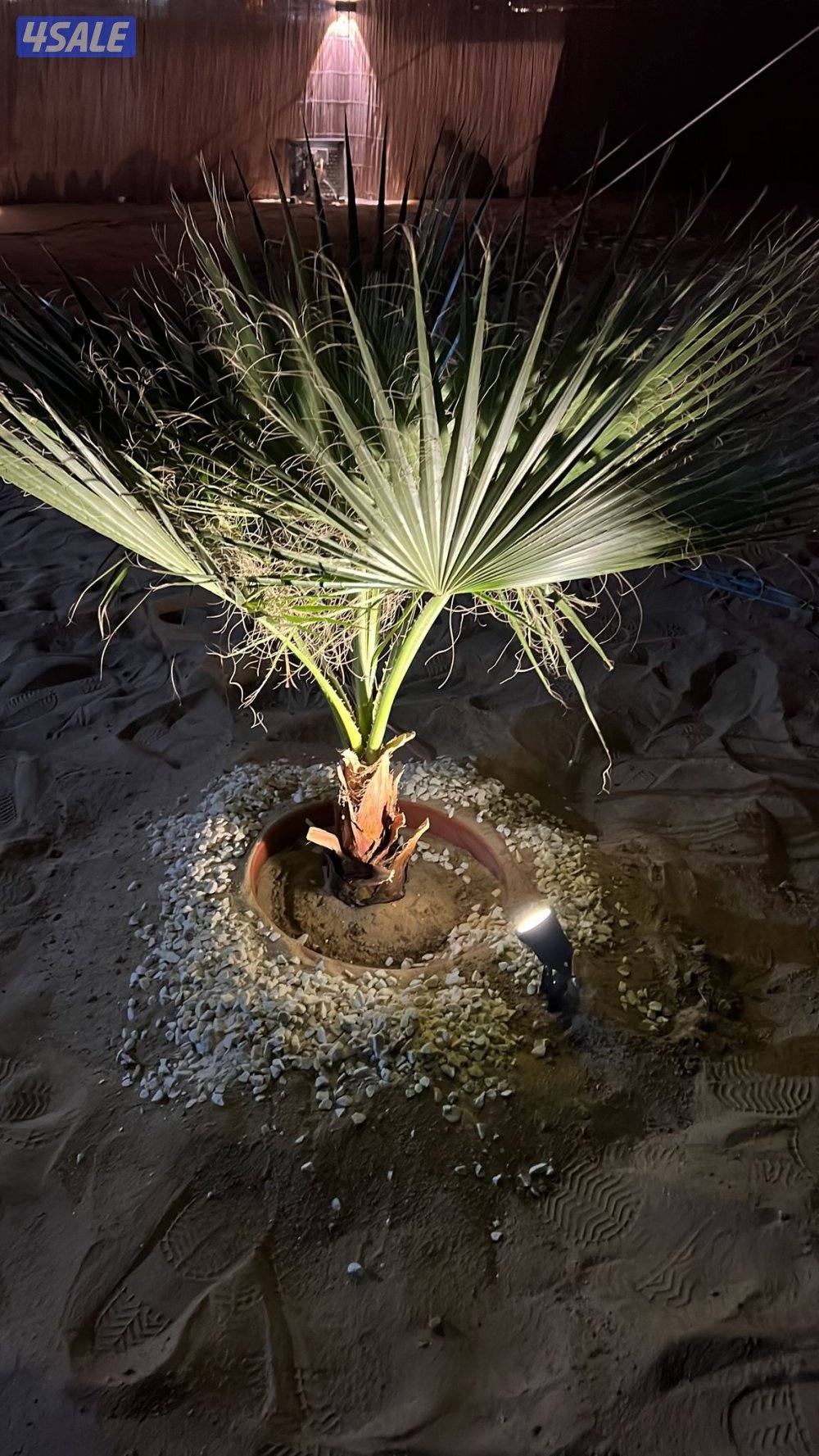 للايجار كشتة يومي التفاصيل تحت سوبر سوبر vip يصلح للجميع3