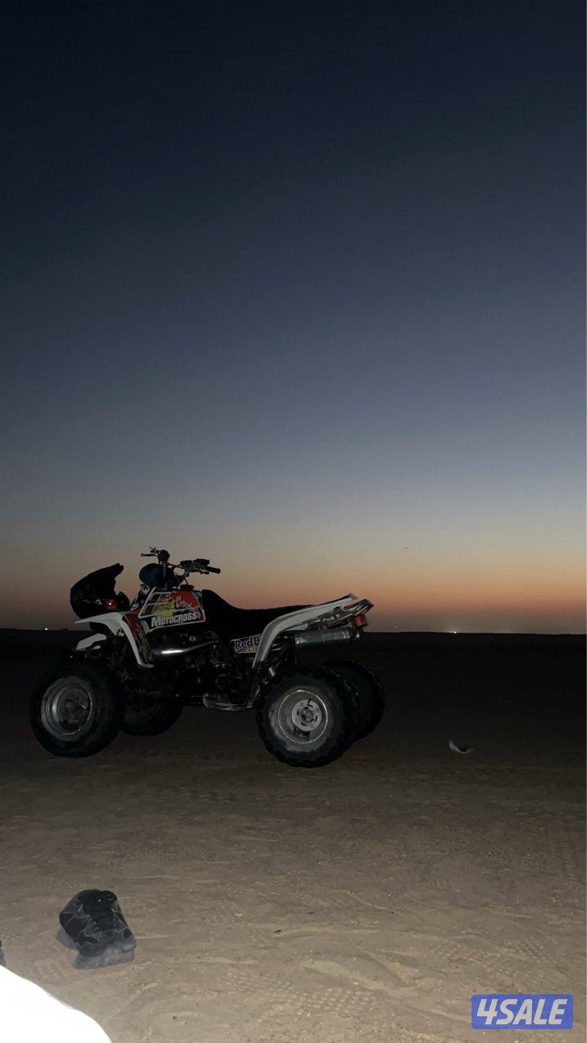 للبيع بانشي ٢٠٠٦1