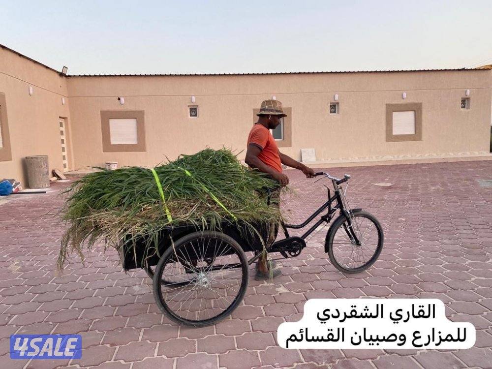 توكتك كهربائي وسيكل كهربائي فخم2