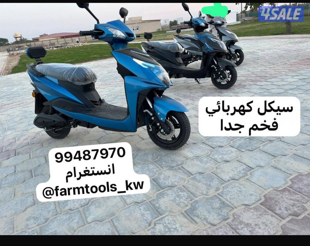 القاري الشقردي - تصفية5