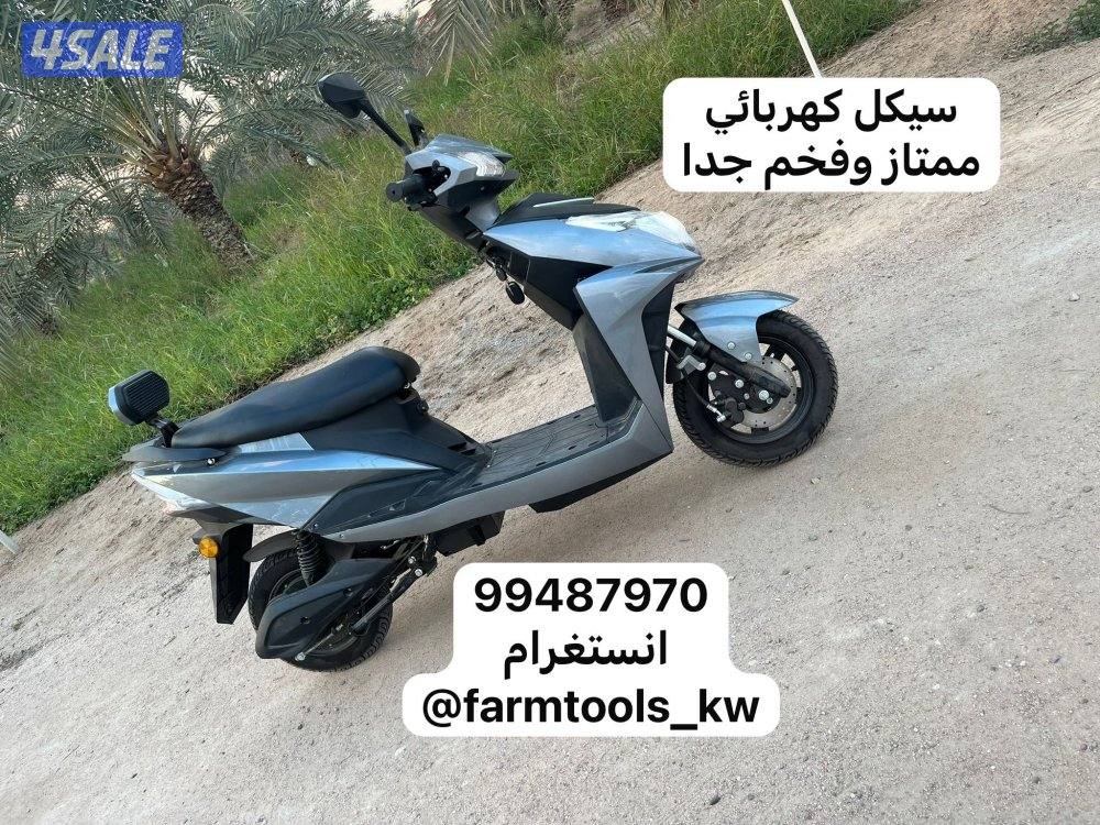 القاري الشقردي - تصفية6