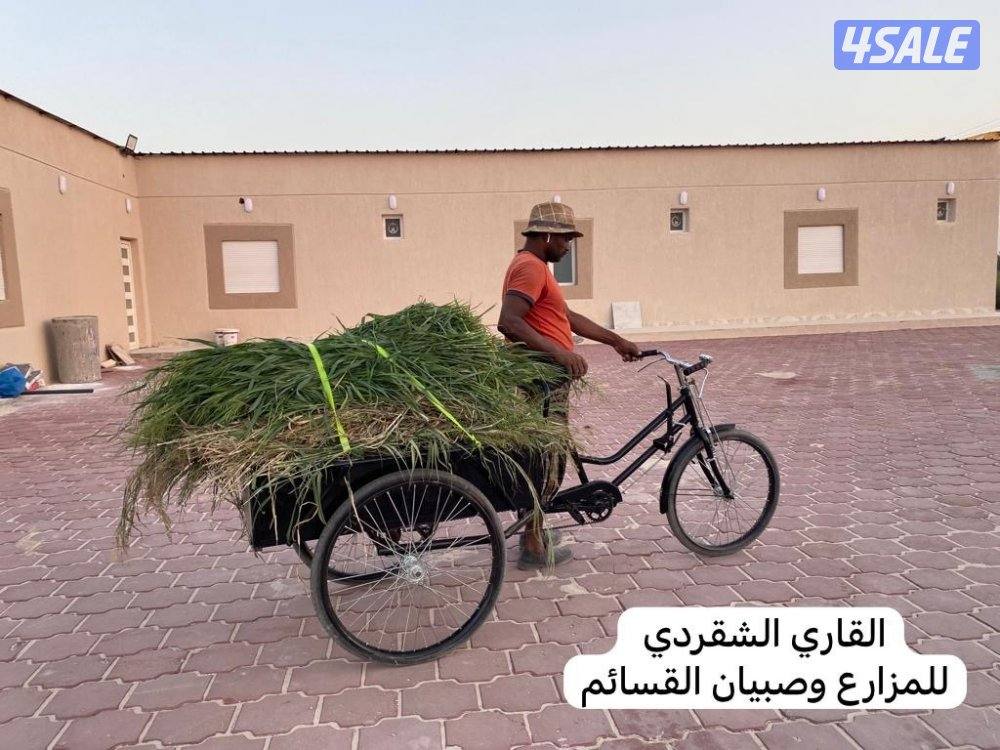 توكتك كهربائي وسيكل كهربائي فخم4