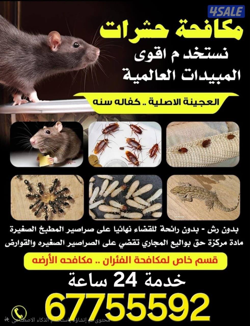 مكافحة حشرات وقوارض كفالة سنه0