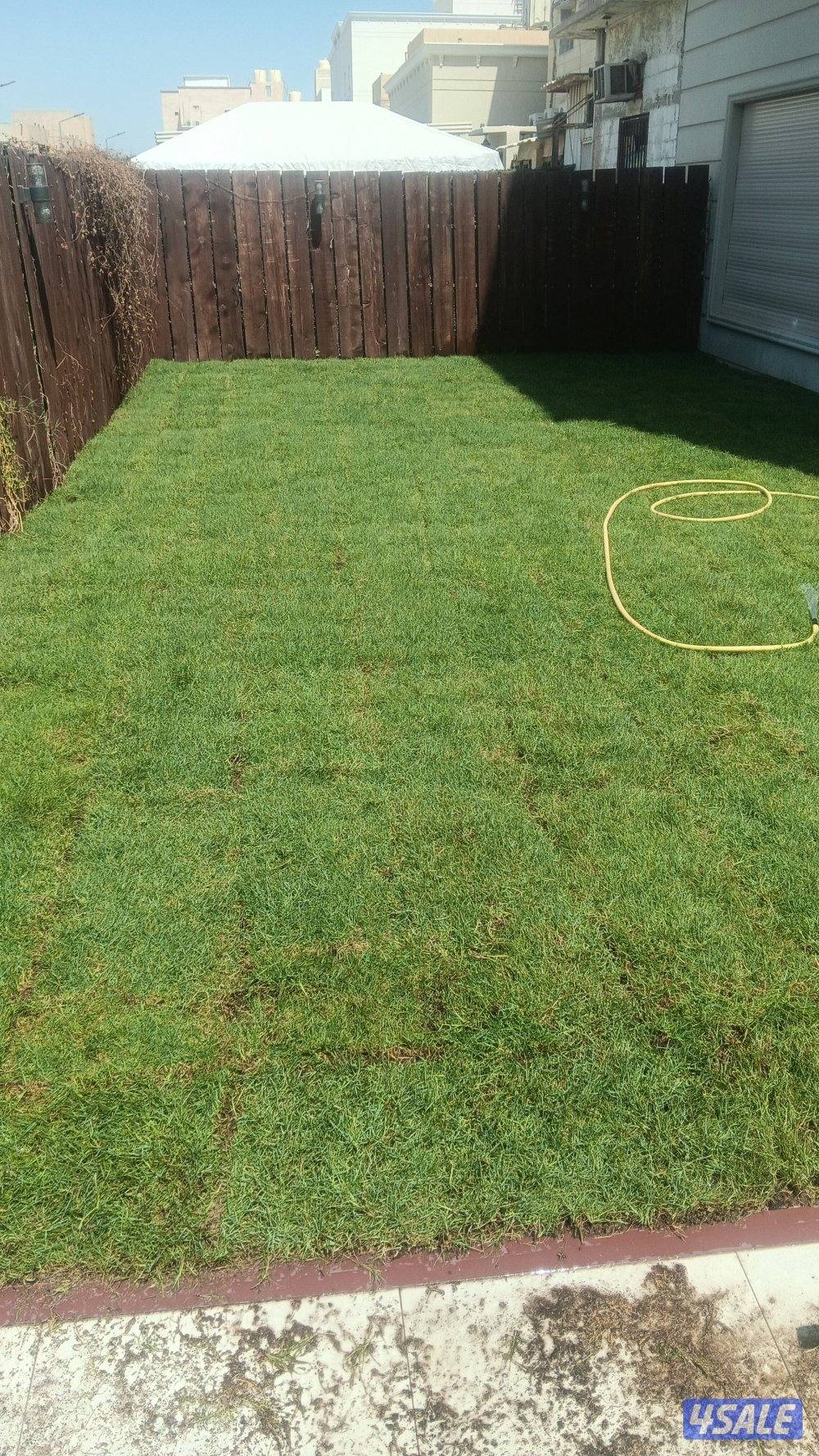 تنسيق حدائق15