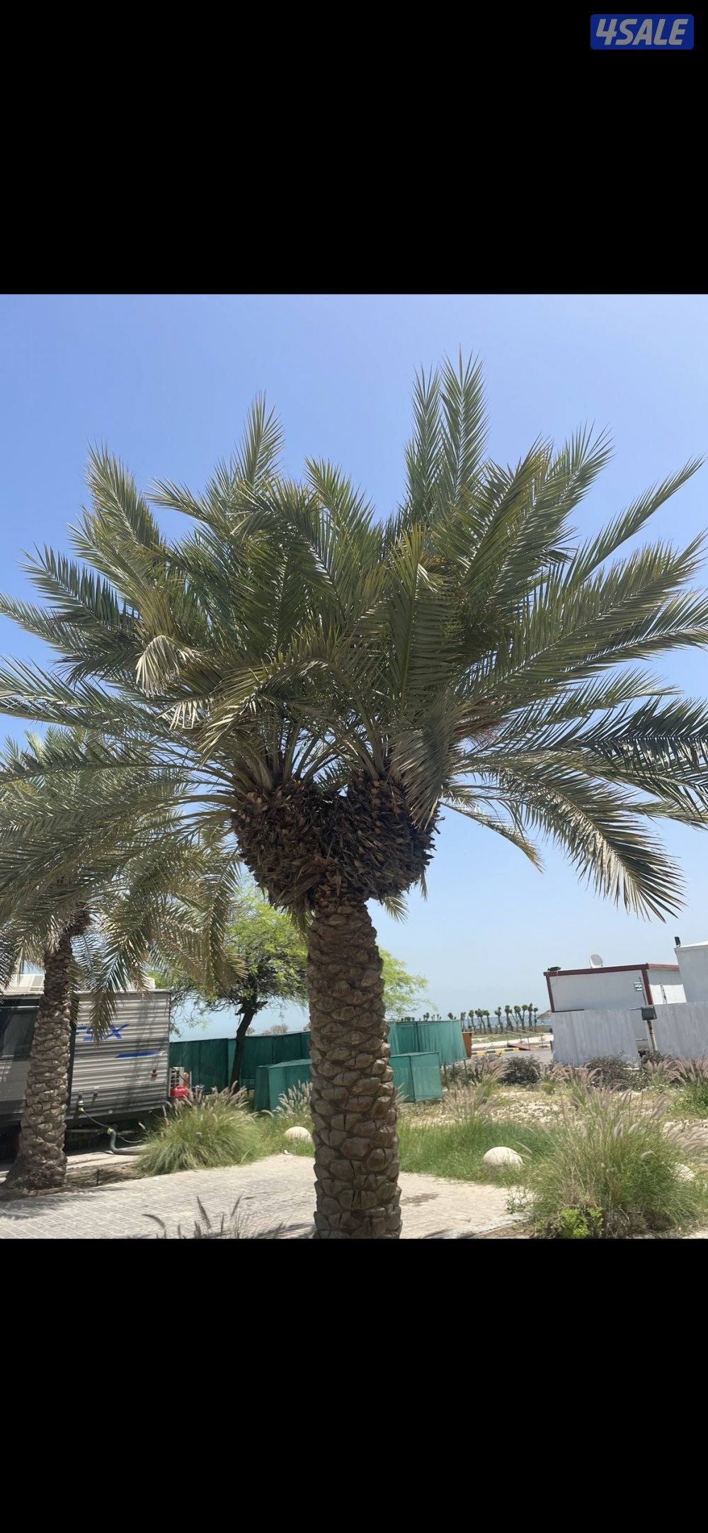 مطلوب ولدينا عماير واراضي بالمنطقة العاشرة للبيع ارض بالفحيحيل والمنقف0