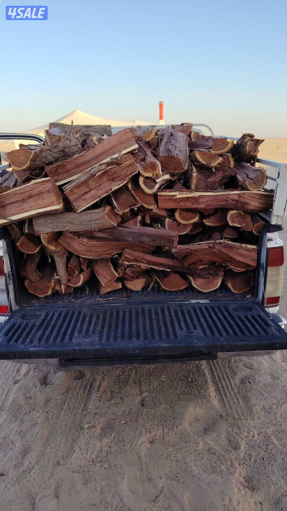 للبيع صفصااف ناشف وكاربس0