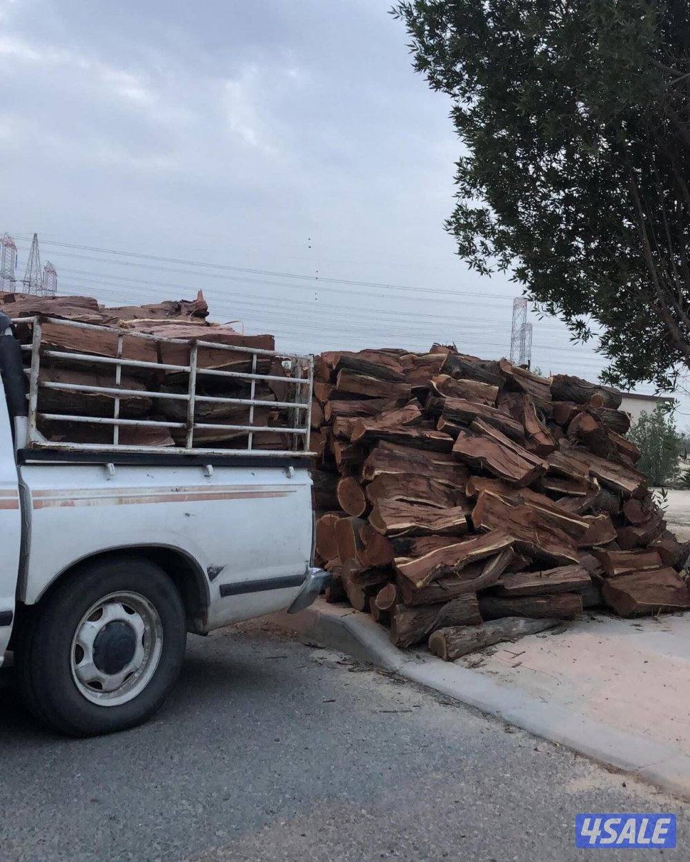 للبيع صفصااف ناشف وكاربس6