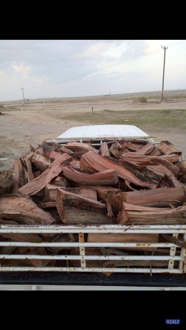 للبيع صفصااف ناشف وكاربس5