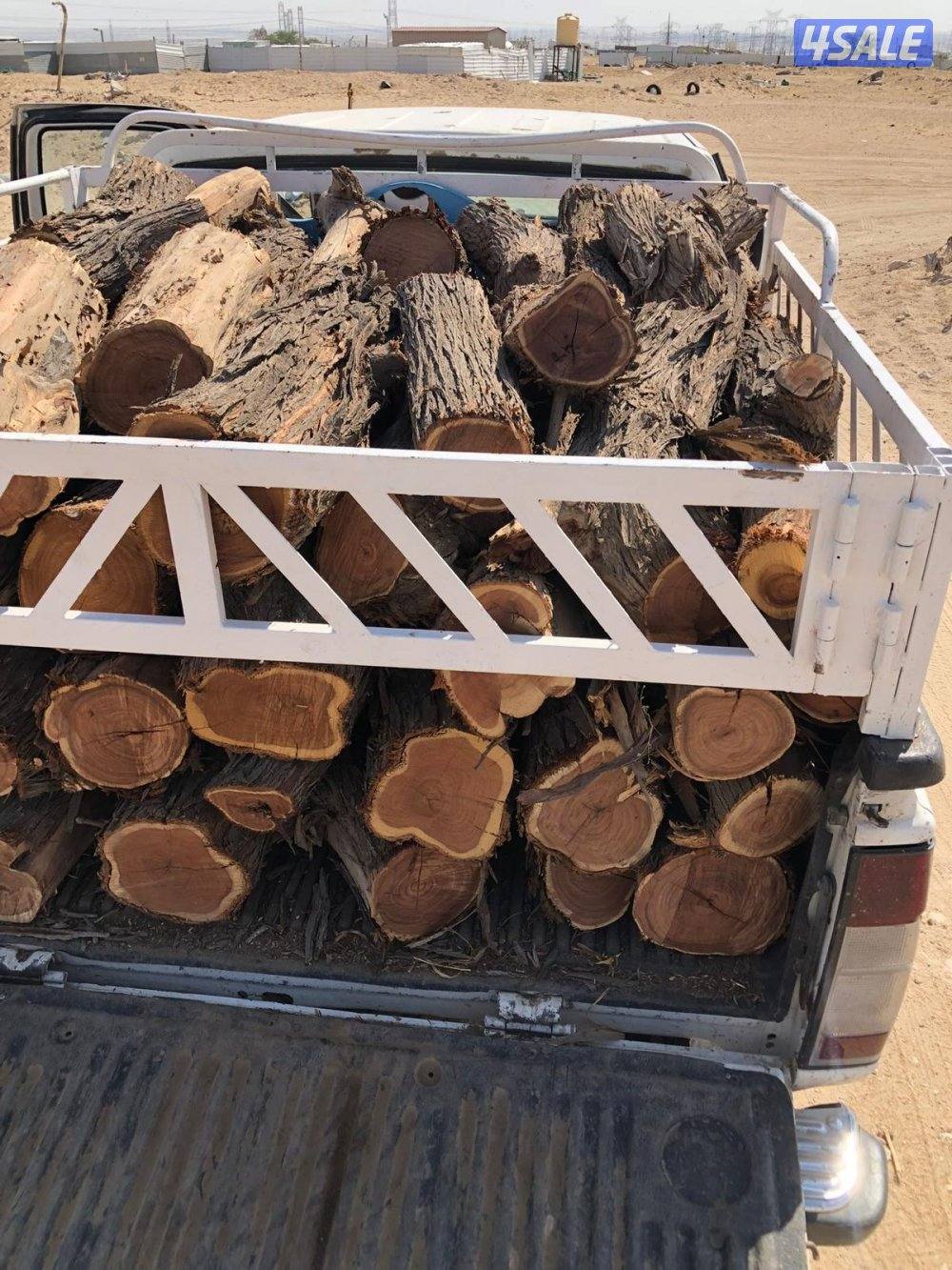 للبيع صفصااف ناشف وكاربس8