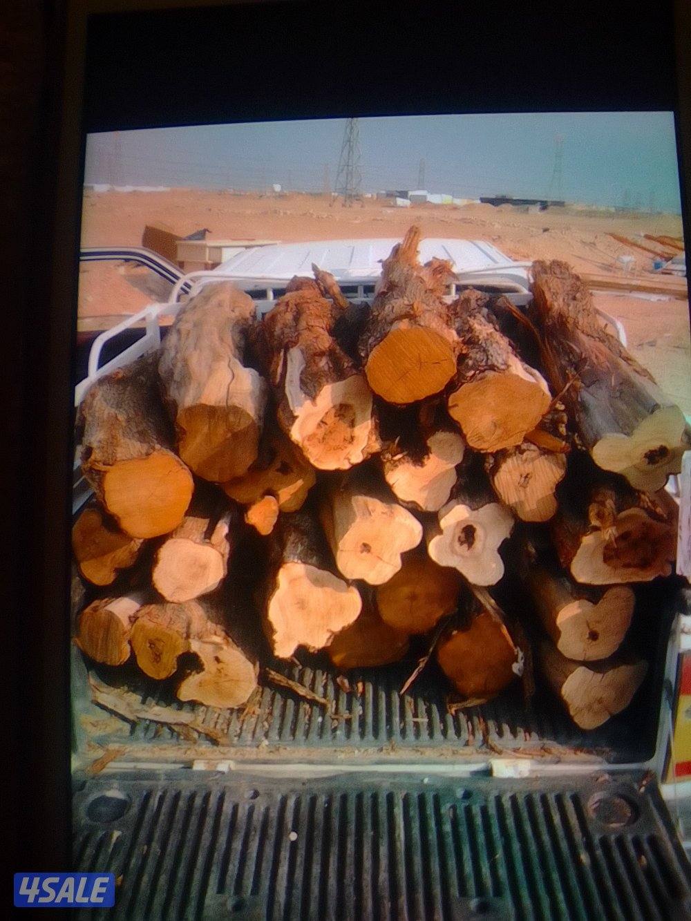 للبيع صفصااف ناشف وكاربس9