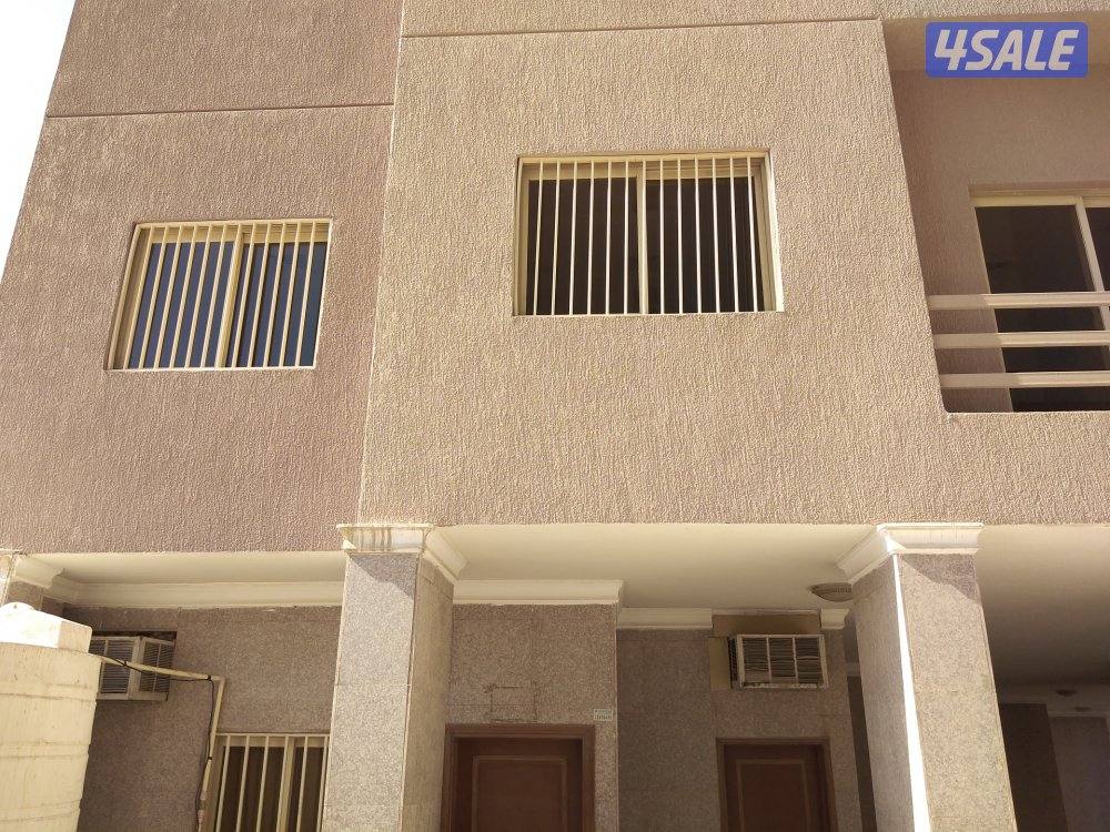 شتر. و .المنيوم.. معلم باكستاني7