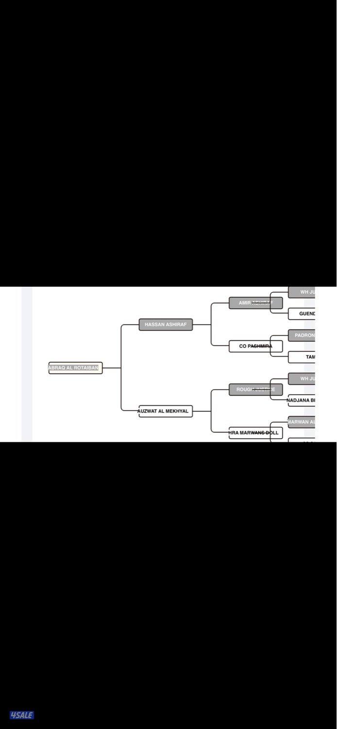 فحل مكس هادي3