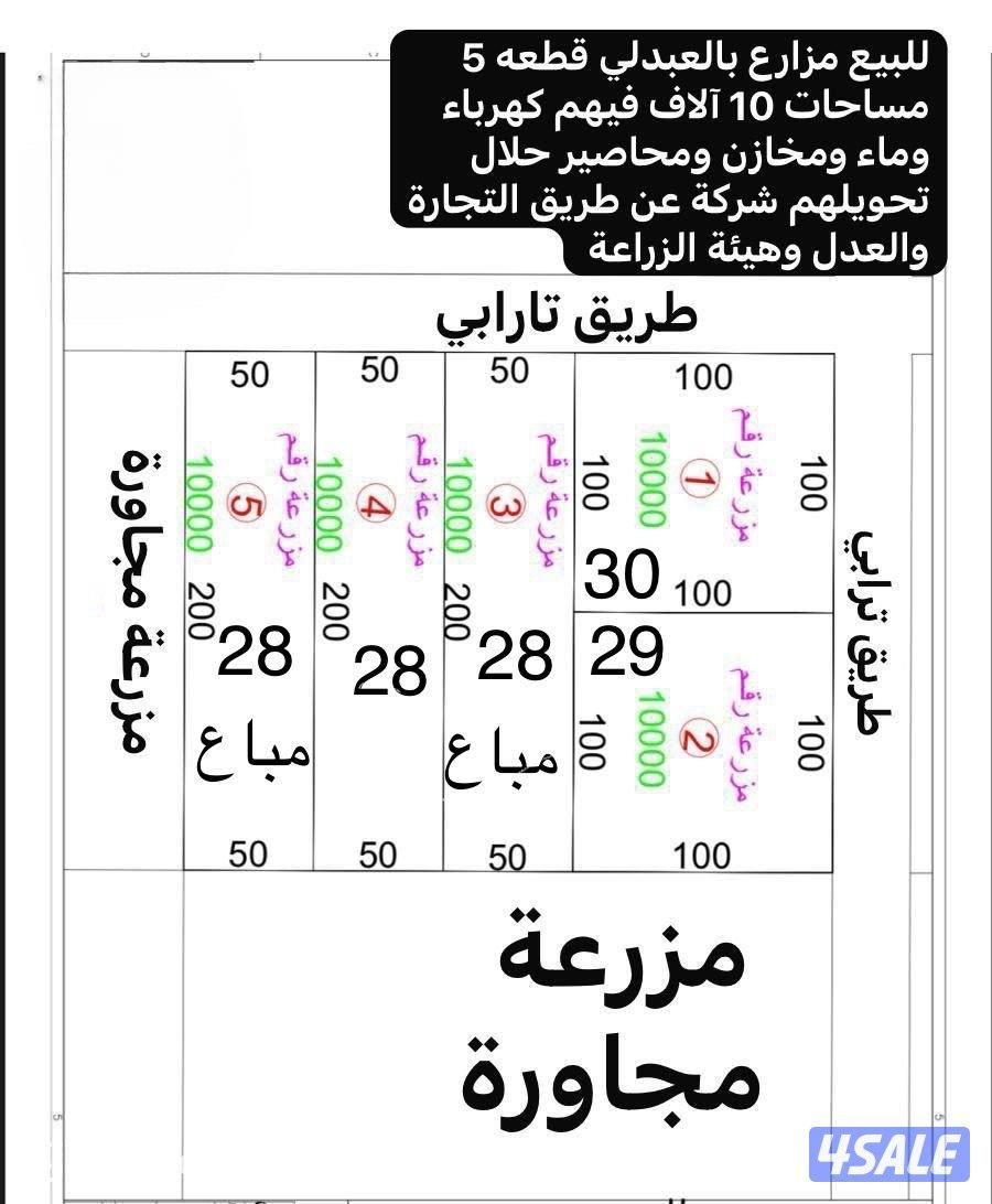 للبيع مزارع في العبدلي مساحه 10 الف0