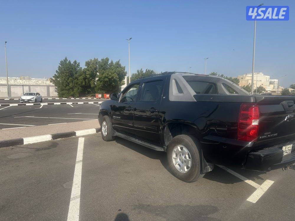 افلانش 2010   ماشي 290 الوارد الغانم2