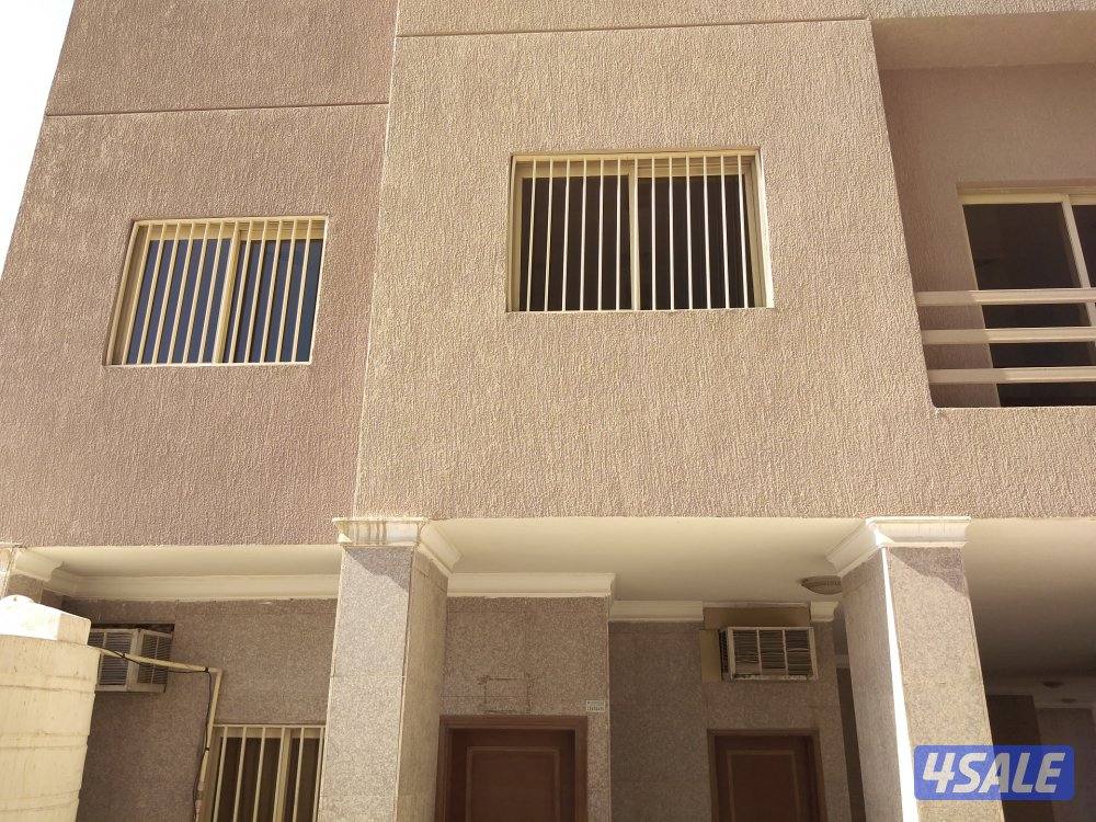 شتر .و . المنيوم . معلم. ابو علي باكستاني10