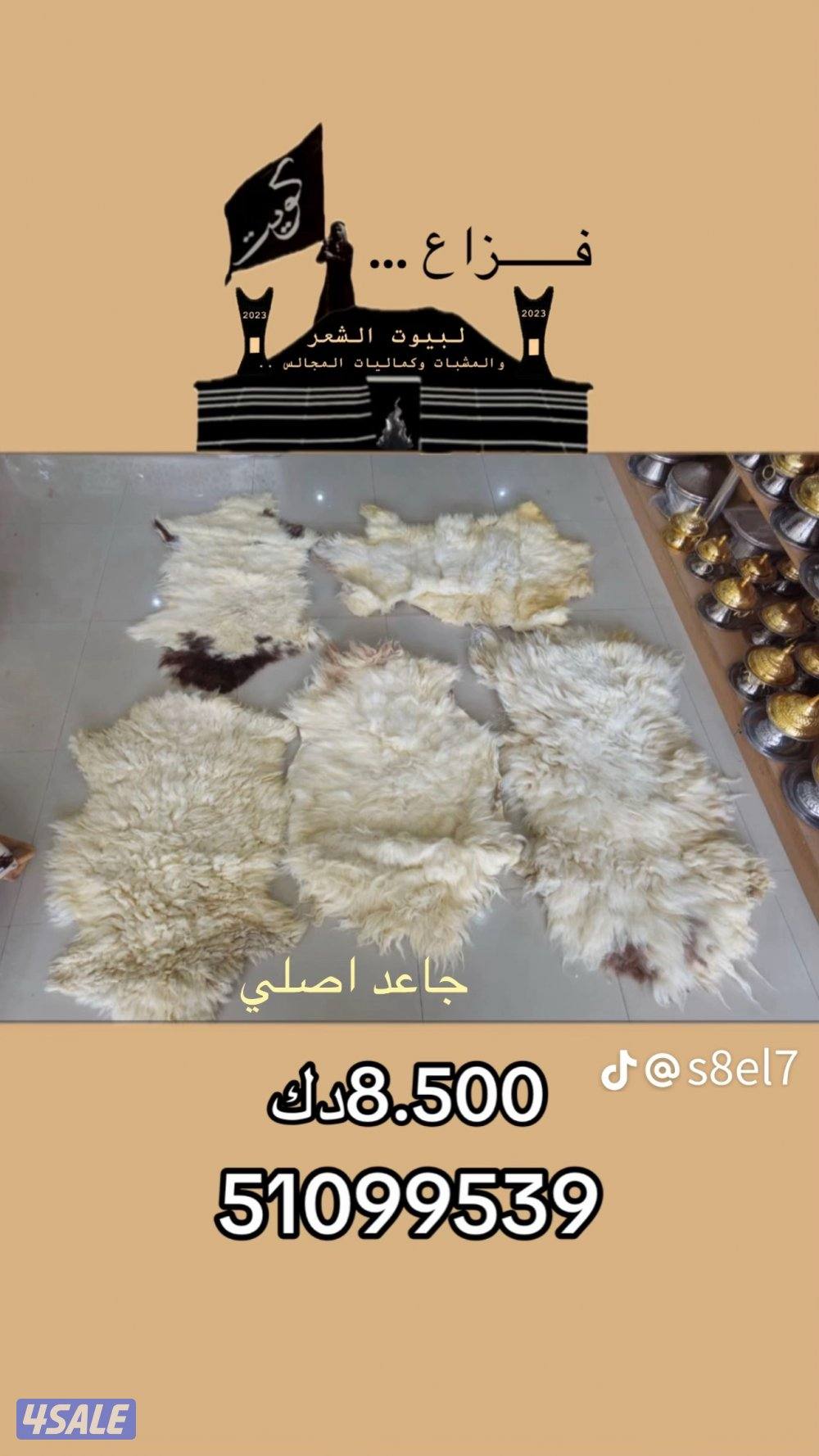 جميع اغراض المخيمات6