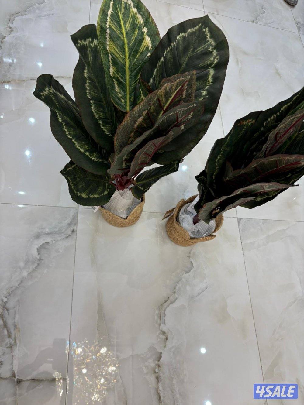 اغراض كشتة جاهزة بكل اغراضها جديدة بحالة الشراء5