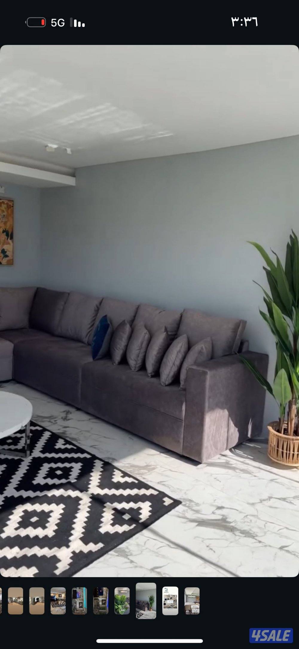 چبد - متوفر راس السنة 🌿0