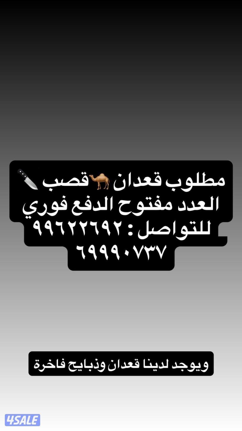 نبيع ونشتري قعدان بسعار طيبه 🧨0