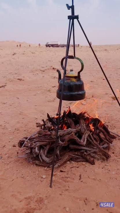 للبيع جميع أنواع الحطب السعودي0