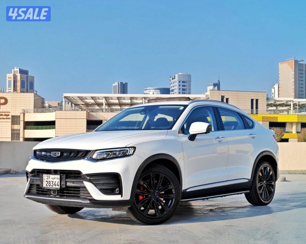 توجيلا - 20211