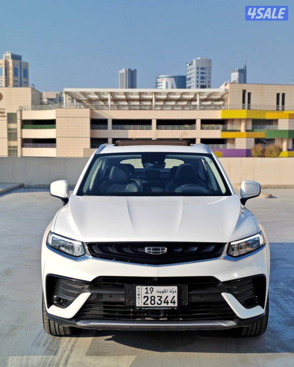 توجيلا - 20214