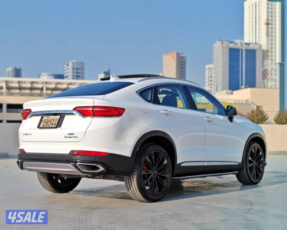 توجيلا - 20213