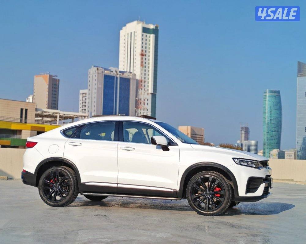 توجيلا - 20215