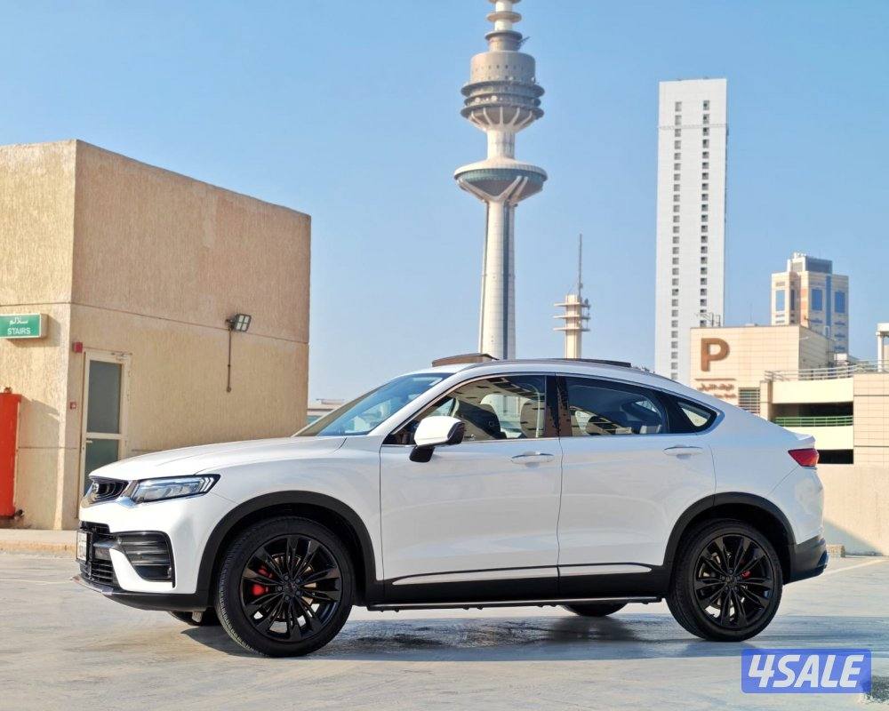 توجيلا - 20216