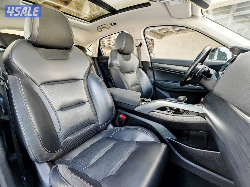 توجيلا - 20218