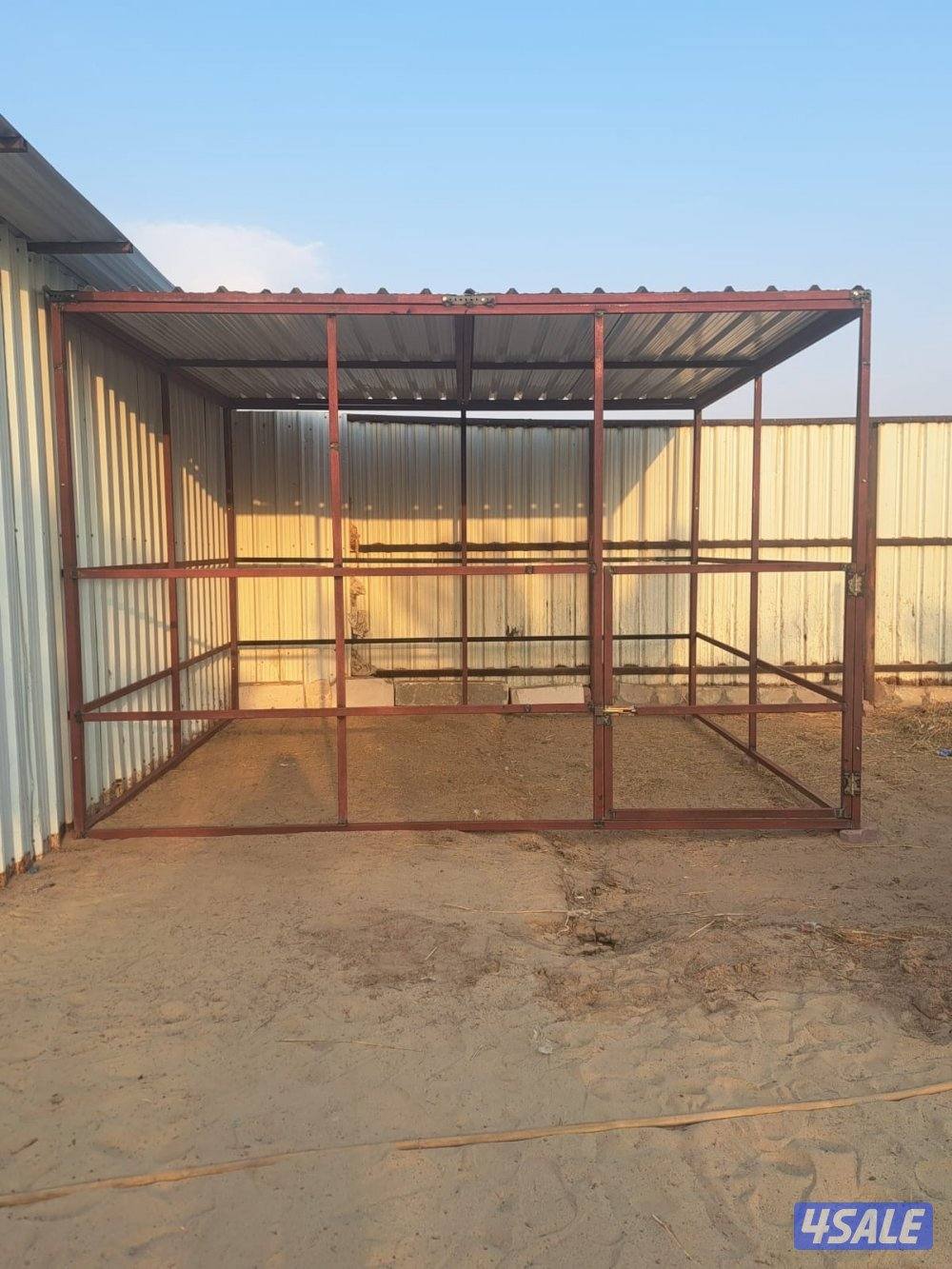 بناجر خيل للبيع2