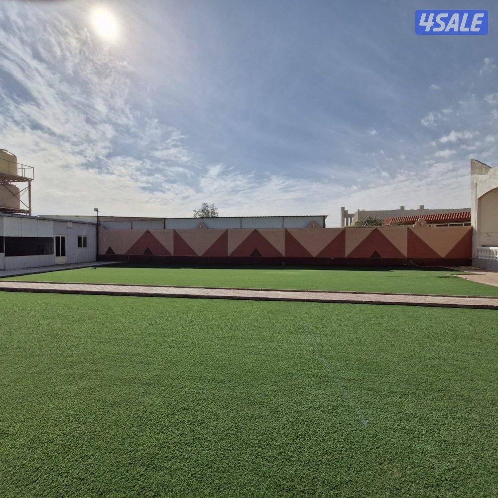 جاخور في كبد2