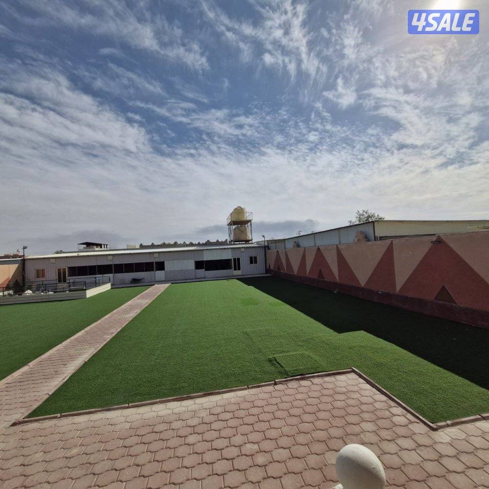 جاخور في كبد3