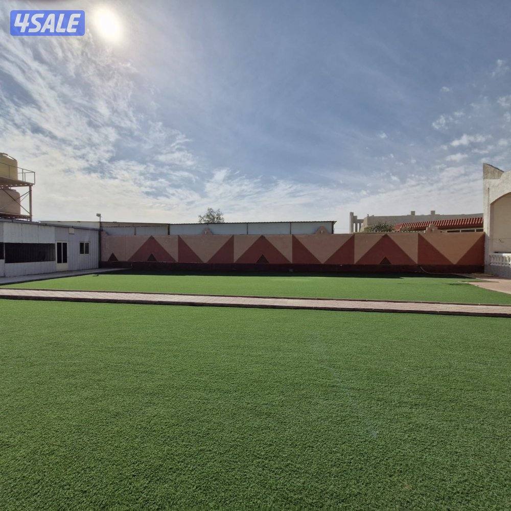 جاخور في كبد3